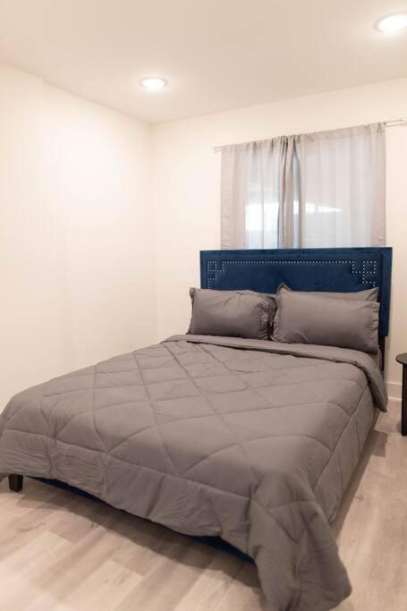 Platinum Palace 1Br 1Ba - Central Dallas Stay 外观 照片
