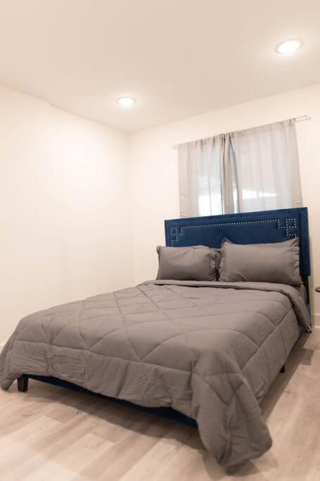 Platinum Palace 1Br 1Ba - Central Dallas Stay 外观 照片